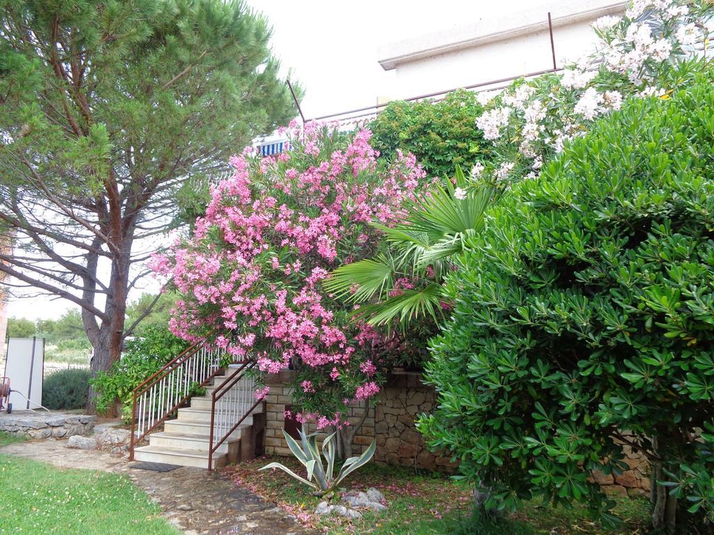 I & S Apartments Vodice Exteriör bild